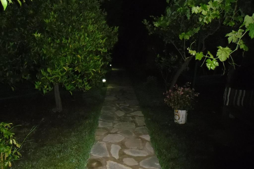 Cesur Pansiyon Hotel Çıralı Buitenkant foto
