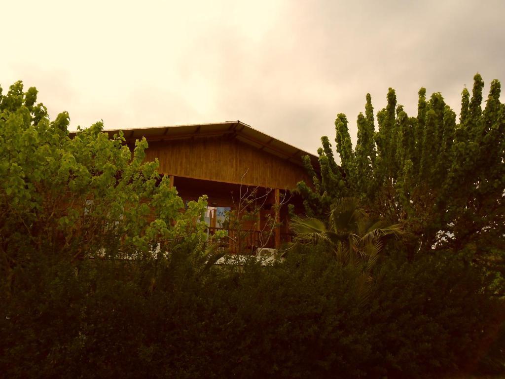Cesur Pansiyon Hotel Çıralı Buitenkant foto